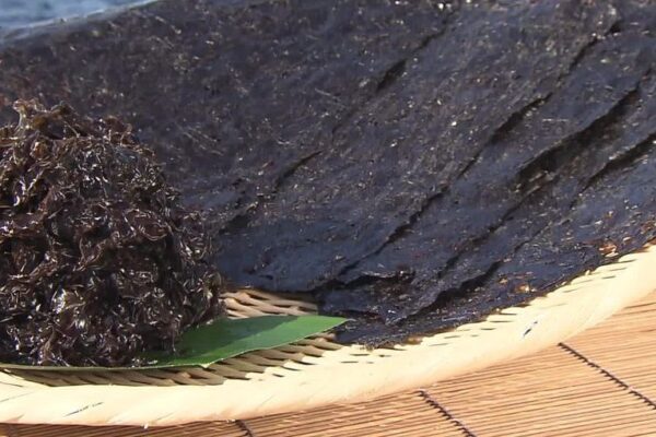 🍙 Onigiri em crise? Nori dispara e agora até o arroz pesa no bolso