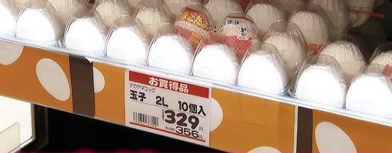 🥚💸 Preço do ovo dispara e assusta o Japão