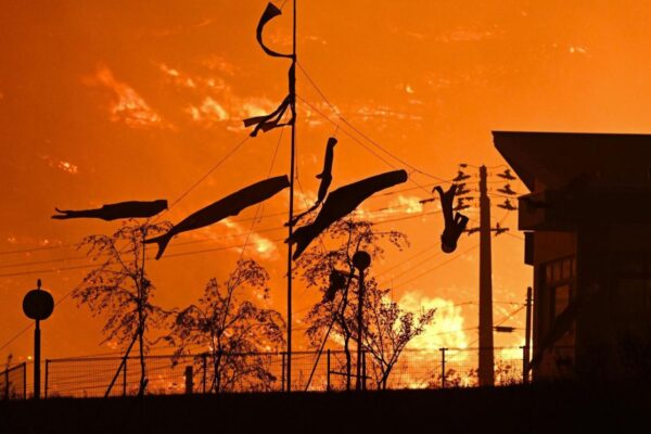 🔥 Inferno no Japão: incêndio avança, destrói casas e deixa milhares desabrigados🔥