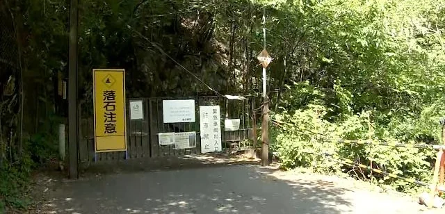 🐻 Metade de um Corpo Encontrada em Floresta de Tóquio 🐻