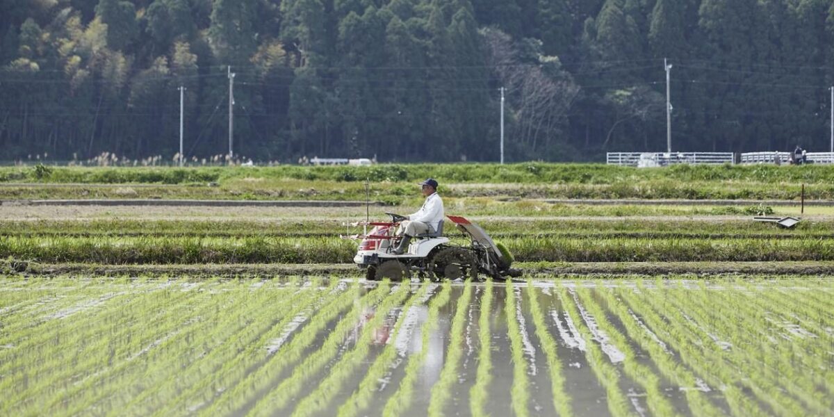 A conta chegou para o agricultor?